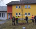 Bild: fz
Bürgermeister Anton Kappl (rechts) und sein Team pflanzen einen von drei Klimabäumen.