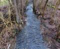 Bild: br
Für das Einleiten von Mischwasser aus den Entlastungsanlagen und dem Regenwasser aus den Regenwasserkanälen in das Fließgewässer, die „Creußen“ (unser Bild in Menzlas) sowie in den Lehm- und Pointgraben wird eine Neuerteilung der gehobenen wasserrechtlichen Erlaubnis ab 2022 beim Wasserwirtschaftsamt Weiden beantragt.