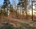 Bild: Eichl
Das Burgweiher-Gelände: Etwa in der Mitte des Bildes steht vollkommen zugewachsen das alte Steinhauerhaus. Architekt Josef Schöberl hatte eine Vorplanung für eine Infostelle gefertigt; nachdem seine Version deutlich abgespeckt wurde, will er nicht mehr neu planen.