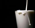 Bild: Sebastian Gollnow/dpa
Problemthema Milch: Bei der virtuellen Mitgliederversammlung der Bezirksverbände Niederbayern und Oberpfalz des Bayerischen Bauernverbandes wurde intensiv darüber gesprochen.
