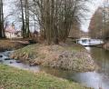 Bild: do
Die Verlandung der Creußen bei Tremmersdorf schreitet voran. Ein ökologischer Umbau des Flussbettes ist deshalb unumgänglich. Zum Stand der Planungen findet voraussichtlich am 8. Mai auf dem Festplatz in Tremmersdorf ein öffentlicher Besprechungstermin statt.