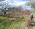 Bild: Christine Schreiber/exb
Der Kreislehrgarten Floß soll im April wieder geöffnet werden. Bei einem Besuch sind die aktuellen Corona-Regelungen einzuhalten.