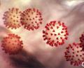 Bild: Center for Disease Control/Planet Pix via ZUMA Wire/dpa
Die 7-Tage-Inzidenzen in der Stadt Weiden und im Landkreis Neustadt/WN sind auch am Dienstag leicht gesunken.