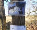 Bild: sche
Viele begehen den Kreuzweg in freier Natur, hier die siebte Station „Jesus fällt zum zweiten Male unter dem Kreuze".