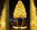 Bild: Laura Scharnagl
Die Vorweihnachtszeit in Hongkong hat Laura Scharnagl aus Konnersreuth schon öfter erlebt. Heuer ist es aber das erste Weihnachtsfest, das die 25-Jährige nicht zu Hause in der Oberpfalz verbringt.
