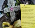 Bild: hzi
Mit einem Palmkreuz sowie einem Gruß- und Segensspruch wendet sich die KAB Kirchenthumbach an Freunde und Mitglieder.