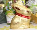 Bild: frd
Die Gold-Hasen mit Wunschnamen sind auf große Resonanz gestoßen.
