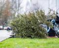 Symbolbild: Marcel Kusch/dpa
Wohin mit dem alten Christbaum? Zahlreiche Sammelaktionen im Landkreis Tirschenreuth fallen dieses Jahr der Corona-Pandemie zu Opfer.