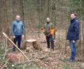 Bild: knh
Am nachwachsenden Baumbestand erklären Forstbetriebsleiter Philipp Bahnmüller (links) und Förster Erwin Fischer (Mitte) dem Landtagsabgeordneten Dr. Stephan Oetzinger (rechts), wie nach Einsatz des Harvesters der Klimawald gefördert wird.