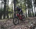 Bild: Max Solfrank/exb
Soll ein Trailpark am Fahrenberg entstehen? Damit befasst sich eine Machbarkeitsstudie.