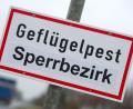 Symbolbild: Stefan Sauer
Ein Schild mit der Aufschrift „Geflügelpest Sperrbezirk“ steht an einer Straße.