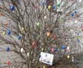 Bild: mma
Ein wenig Osterfreude bereiten die in der Gemeinde Hahnbach verteilten Ostersträucher.