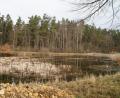 Bild: sir
Der Acker, auf dem die PV-Anlage entstehen soll, ist eingebettet in Biotope, in denen sich eine reiche Artenvielfalt wiederfindet.