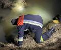 Bild: fks
Fritz Leicht, Fachberater Gefahrgut im Landkreis Tirschenreuth, bei der Probenentnahme am Grenzbach nahe Waffenhammer. Das Gewässer ist durch die Milch nach dem Unfall bei Siegritz getrübt.
