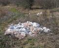 Bild: bkr
So nicht: Auch Silofolie gehört fachgerecht entsorgt. Sie einfach auf dem Feld liegenzulassen, kann für den Landwirt teuer werden.