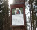 Bild: schß
Relativ selten auf Gemeindegebiet sind Baumbilder. Eines findet sich nahe der AS 21 am Wanderweg von Amberg zum Habsberg.