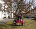 Bild: Monika Reindl/exb
Die Kinder aus der Notbetreuung des Kindergartens St. Maria haben die Magnolie vor der Stadtpfarrkirche mit den mehr als 300 gesammelten Ostereiern geschmückt.