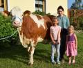 Bild: Rudolf Traxinger/exb
Eines der 20 „Golden Girls“ im Landkreis ist die Kuh „Vanessa“ (im Bild mit Marie, Sarah und Isabell, den Enkelinnen der Familie Herbert Bäuml aus Liebenstein). Sie ist am 14. Dezember 2005 geboren und hat eine Lebensleistung 101 000 Kilo Milch erbracht.