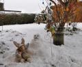 Bild: gz
Wenn der Osterhase auf einen Schneemann. trifft: Der Wintereinbruch im Frühjahr macht's möglich.