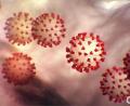 Symbolbild: Center for Disease Control/Planet Pix via ZUMA Wire/dpa
Diese vom Center for Disease Control and Prevention (CDC) erstellte Illustration zeigt den neuartigen Coronavirus 2019.