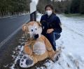 Bild: Polizeiinspektion Marktredwitz/exb
Den Plüschteddy an der Straße zwischen Höchstädt und Marktleuthen brachte die Polizei ins Fundbüro nach Marktredwitz.