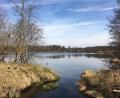 Bild: Bergler/exb
Im Weiher im Bergler-Betriebsgelände in Steinfels könnte schon bald eine Photovoltaikanlage schwimmen.