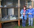 Bild: boj
Die Brieftauben der Schlaggemeinschaft Doris und Josef Leonhardt sind schon seit einiger Zeit sehr erfolgreich unterwegs. Das Züchterehepaar aus Schwarzhofen sicherte sich auch 2020 die Meisterschaft der Einsatzstelle Niedermurach.