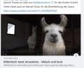 Screenshot: facebook.com/inklusiontirschenreuth
Das Netzwerk Inklusion teilte das Video zur inklusiven Jerusalema-Dance-Challenge über Facebook.