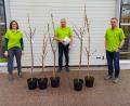 Bild: Sybille Peter
Die Obstbäume für den Nachwuchs des Gartenbauvereins Dieterskirchen organisierten (von links) die Vorstandsmitglieder Sybille Peter, Manfred Schafbauer und Marko Seltmann