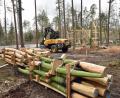 Bild: Andreas Royer
Zum Abenteuerspielplatz in der Oberen Wagensaß gehört künftig auch ein Niederseilgarten, der Geschicklichkeit und Konzentration verlangt. Die Aufstellung der Elemente hat der Bauhof übernommen.