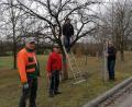 Bild: Anita Forster
Für den Obstbaumschnitt am Lehrpfad packten (von links) Ludwig Walbrun, Johann Köppl, Walter Nagler und Josef Schneeberger gemeinsam an.