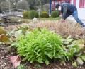 Bild: Gabi Schönberger
Unternehmen, wie die Firma Punzmann Garten- und Landschaftsbau, haben derzeit viel zu tun. Die Menschen investieren wieder mehr in ihren Garten. Der Trend geht weg von Schottergärten.