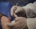 Bild: Carlos Giusti
In den Impfzentren und in den Hausarztpraxen könnte mehr gegen das Coronavirus geimpft werden.