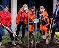 Bild: Ulrike Meixner
Die Bürgermeister Martin Birner (rechts) und Margit Reichl (links) pflanzten gemeinsam mit Rektorin Irene Träxler und den Stadtgärtnerinnen Anita Heimerl und Maria Mehrl den Apfelbaum im Innenhof der Mittelschule.