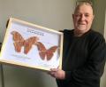 Bild: Johanna Foitzik
Entomologe Manfred Ströhle aus Weiden hat mit 250.000 präparierten Insekten die wohl größte wissenschaftliche Privatsammlung in Deutschland. Hier zeigt er den Atlasfalter, eine der größten Schmetterlingsarten aus Südostasien. Es kann eine Flügelspannbreite von bis zu 30 Zentimetern haben.