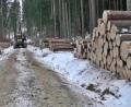 Archivbild: jma
Die Holzarbeiten im Bereich der Hohen Tanne haben schon im Winter begonnen. Der Einschlag im Bürgerwald durfte heuer sehr stark ausfallen.
