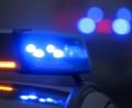 Bild: Karl-Josef Hildenbrand
Ein Blaulicht leuchtet an einer Polizeistreife.