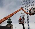 Bild: frd
Die Oberviechtacher Stadtkulisse ist mit dem prächtigen Maibaum nun wieder um ein Wahrzeichen reicher.