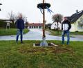 Bild: sne
Jürgen Wegmann (links) und Tobias Schatz wollen auch in der Corona-Pandemie nicht auf einen Maibaum verzichten.