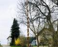 Bild: ü
Der Schleicher Sepp, seines Zeichens Vorstand der "Hascharader Feuerwehr", lässt sich die Tradition des Maibaumaufstellens nicht nehmen. Zusammen mit seiner Familie stellt er in Krücklasmühle (auf der Mühl) einen schön herausgeputzten Maibaum auf.