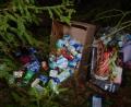 Bild: dob
Ein ganzer Einkauf landete im Wald. Jetzt ermittelt die Polizei.