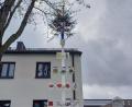 Bild: twg
Auch die Steinwaldzwerge vom Kinderhaus in Pullenreuth haben einen eigenen Maibaum.