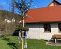 Bild: bkr
Heuer haben die Kinder den Maibaum in Ahornberg aufgestellt.