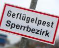 Bild: Stefan Sauer/dpa
Die Sperrbezirke wurden bereits aufgehoben. Nun werden weitere Maßnahmen zurückgefahren.