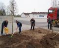 Bild: du
Mitglieder des Obst- und Gartenbauvereins und des OWV Schirmitz pflanzen am Rand des neu angelegten Parkplatzes am SpVgg-Sportheim (im Hintergrund) und des neuen Fahrsilos aus Betonblocksteinen (links, hinten) insgesamt vier heimische Bäume zur Klimaverbesserung und Aufwertung des Ortsbildes.