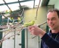 Bild: Kunz
Martin Eisenreich setzt einen jungen Wellensittich im Vogelvoliere aus.