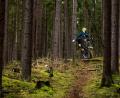 Symbolbild: joz
Mehrere Strecken für Mountainbiker durch Waldgebiete will die Stadt Waldsassen zusammen mit dem Forstbetrieb Waldsassen ausweisen.