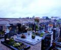 Bild: fjo
Unübersehbare Risse in der Altenstädter Friedhofsmauer veranlassten den Stadtrat zur Aufnahme der Sanierung in den diesjährigen Haushaltsplan. Dies verunsichere nun die Bürger des betroffenen Stadtteils.