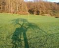 Symbolbild: Thomas Schaller
Ein Hochsitz wirft seinen Schatten auf ein Feld. Beim Bauernverband wird über die Vorteile der jagdlichen Eigenbewirtschaftung diskutiert.