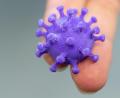 Bild: Robert Michael/dpa
Das Coronavirus, hier ein 3-D-Druck wurde im Landkreis Schwandorf am 8. März 2020 zum ersten Mal nachgewiesen. Wie sich die Pandemie hier in den folgenden Monaten genau entwickelte, geht aus Daten des Gesundheitsamtes hervor.